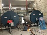 湖北金貝生物科技有限公司6T燃氣鍋爐安裝